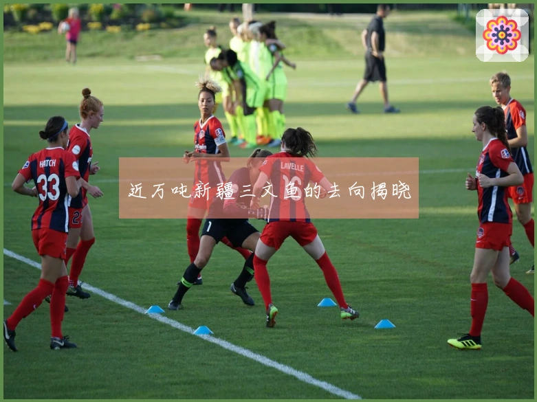 近万吨新疆三文鱼的去向揭晓