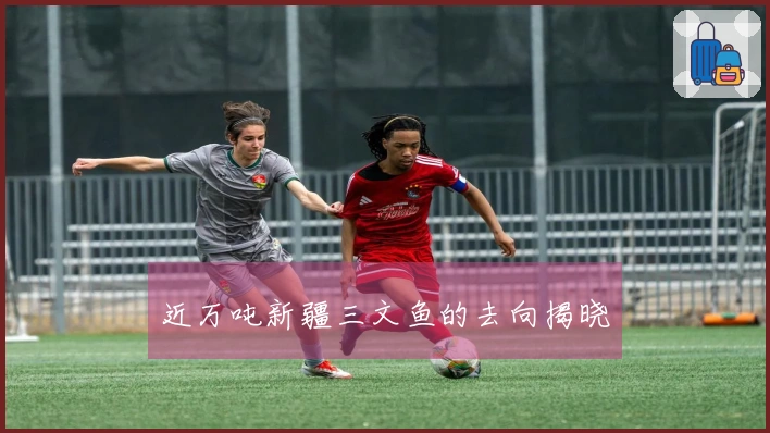 近万吨新疆三文鱼的去向揭晓